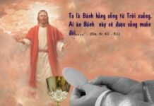 Vui học Thánh kinh – Chúa nhật 19 Thường niên_B