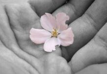 Đôi tay để trao tặng