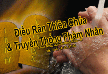 Chúa nhật 22 Thường niên Năm B-2012