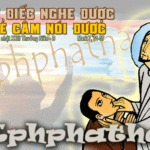 Chúa nhật 23 Thường niên Năm B_2012