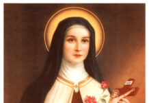 Vui học: cuộc đời Thánh Têrêxa Hài Đồng Giêsu