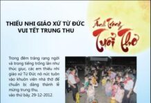 Ánh trăng tuổi thơ – Thiếu nhi giáo xứ Từ Đức