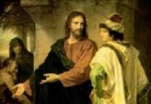 Vui học Thánh kinh – Chúa nhật 28 Thường niên_B