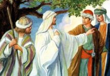 Vui học Thánh kinh – Chúa nhật 29 Thường niên_B