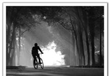 Dòng đời ngược xuôi