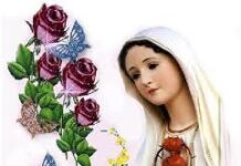 Xin Mẹ thương cứu giúp