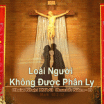 Chúa nhật 27 Thường niên_B