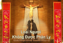 Chúa nhật 27 Thường niên_B