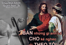 Chúa nhật 28 Thường Niên Năm B_2012.