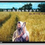 Các Bài Suy niệm Chúa Nhật Truyền giáo