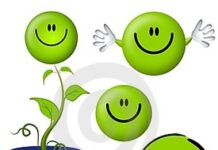 Mỉm cười để đón nhận tất cả