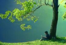 Nguyên nhân của sự tự ti