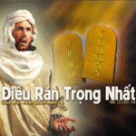 Chúa nhật 31 Thường niên Năm B_2012