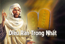 Chúa nhật 31 Thường niên Năm B_2012