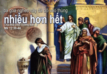 Chúa Nhật 32 Thường Niên Năm B_2012.