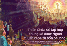 Chúa nhật 33 Thường niên Năm B_2012