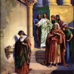 Bỏ vào tất cả (11.11.2012 – Chúa nhật 32 Thường niên, Năm B)