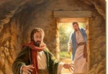 Ông đã thấy và đã tin (Ngày III trong Tuần Bát nhật Giáng sinh – Thánh Gioan tông đồ, tác giả sách Tin Mừng)