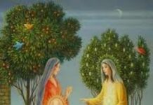 Vui học Thánh kinh – Chúa nhật IV Mùa Vọng_C