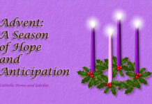 Tâm tình chị Tổng Phụ trách gởi đến chị em trong toàn Hội dòng