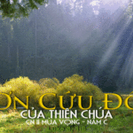 Chúa nhật II Mùa Vọng Năm C_2012