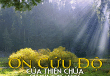 Chúa nhật II Mùa Vọng Năm C_2012