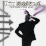 Chúa nhật III Mùa Vọng Năm C_2012