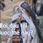 Chúa nhật IV Mùa Vọng C_2012