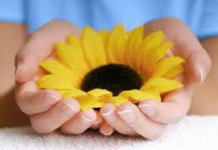 Hạnh phúc trong tầm tay