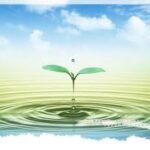 Khát vọng kiếp người