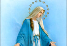 Lời nhắn nhủ của chị Tổng Phụ trách gửi đến các em Tập sinh