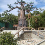 Nước Mặn, nơi phôi thai chữ quốc ngữ