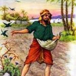 Hạt giống Đức Tin (Thứ Tư sau CN III TN, năm C)