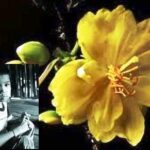 Truyện ngắn: Thiên thần mùa Xuân