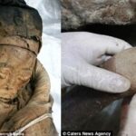 Xác ướp 700 tuổi