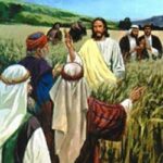 Con Người làm chủ ngày sabát (Thứ Ba Tuần 2 Thường niên)