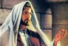 Vui học Thánh kinh – Chúa nhật 3 Thường niên_C