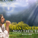 Chúa nhật 3 Thường niên Năm C_2012