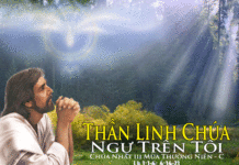 Chúa nhật 3 Thường niên Năm C_2012
