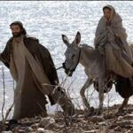 Đức Thánh Cha Bênêđictô XVI: “Di dân và tị nạn là những người mang theo niềm tin và hy vọng”