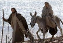 Đức Thánh Cha Bênêđictô XVI: “Di dân và tị nạn là những người mang theo niềm tin và hy vọng”