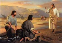 Thấy – Gọi – Bỏ – Theo (14.1.2013 – Thứ hai Tuần 1 Thường niên)