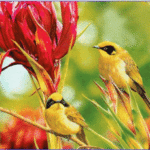 Nén bạc cuối năm