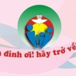 Từ “giảm tỷ lệ mang thai” đến “giảm tỷ lệ sinh”