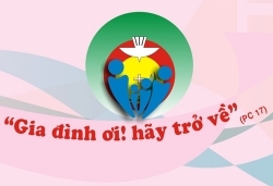 Từ “giảm tỷ lệ mang thai” đến “giảm tỷ lệ sinh”