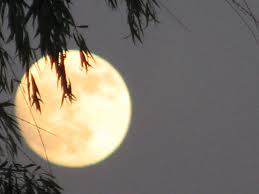 images (2)