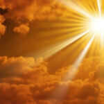 Lương tâm là gì?