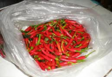 Nhiều tác dụng nhanh chóng, tuyệt vời của ớt cay