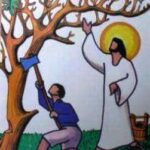 Kiên nhẫn (Chúa nhật III mùa Chay, năm C)