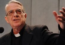 Giám đốc Phòng Báo chí Toà Thánh tố giác một số báo chí xuyên tạc